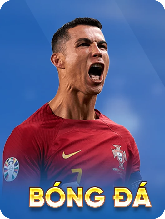 Nowgoal | Livescore - Tỷ Số Trực Tiếp, Kết Quả Và BXH Bóng Đá 2026 Bong da
