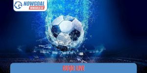 Cược Live