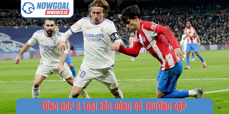 5 Loại Kèo Bóng Đá Thường Gặp - Cách Tra Cứu Tại Nowgoal Tổng hợp 5 loại kèo bóng đá thường gặp