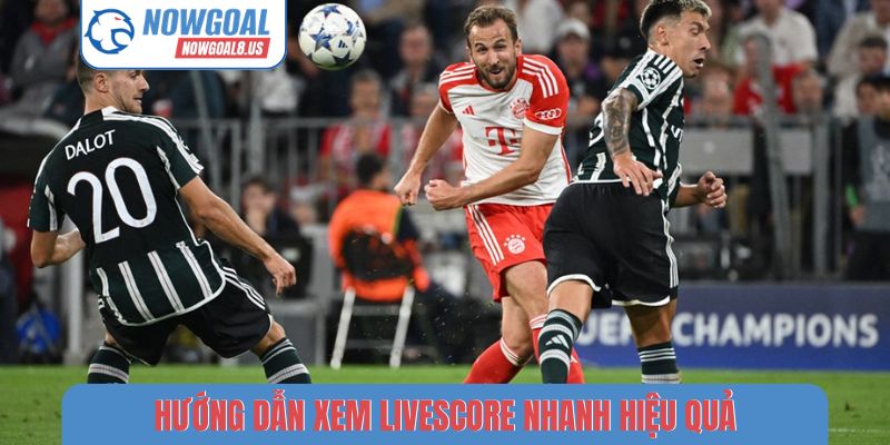 Hướng Dẫn Xem Livescore Nhanh, Không Delay Cho Người Mới Hướng dẫn xem livescore nhanh hiệu quả